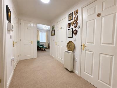 Picture 5